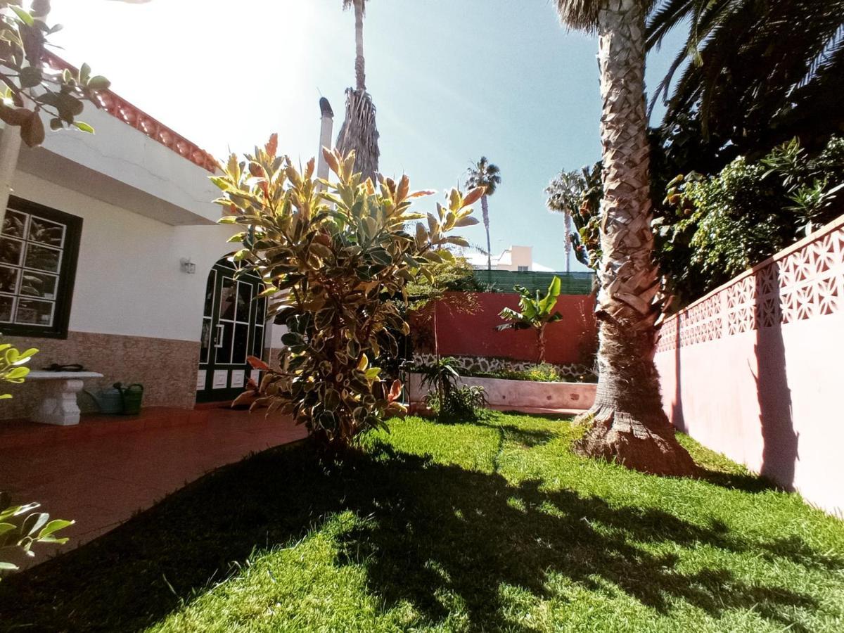 Finca Los Pajaritos Villa Icod De Los Vinos Eksteriør bilde